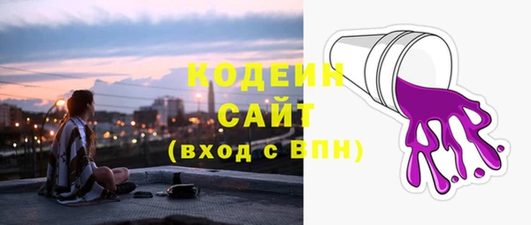 тгк Гусев