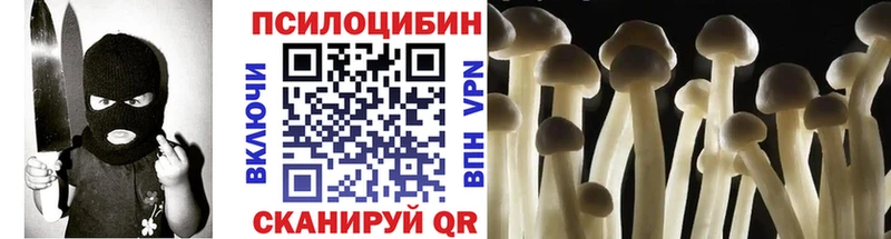 Псилоцибиновые грибы Psilocybe Камень-на-Оби