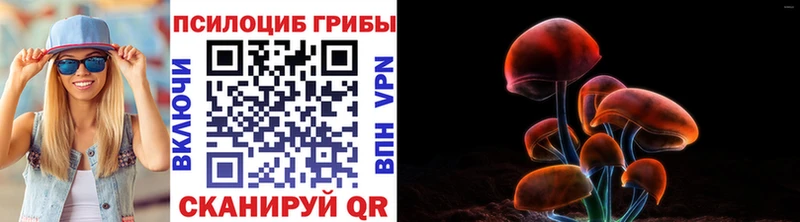 это официальный сайт  Камень-на-Оби  Псилоцибиновые грибы Magic Shrooms 